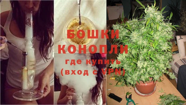 эйфоретик Белоозёрский