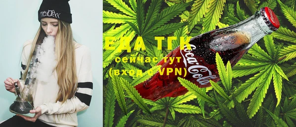 ECSTASY Богородицк