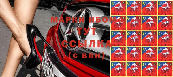 ECSTASY Богородицк