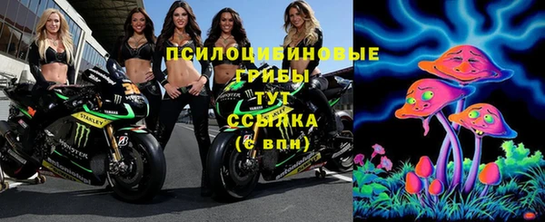 эйфоретик Белоозёрский