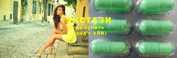 ECSTASY Богородицк