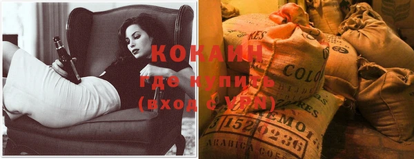 ECSTASY Богородицк