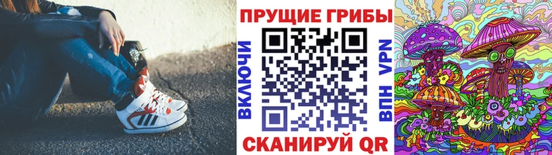 Псилоцибиновые грибы прущие грибы  Валуйки 